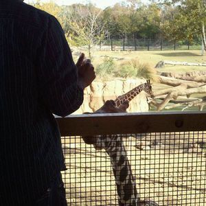 Meet your Posher, William